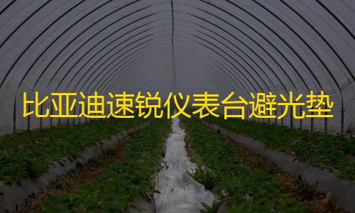 暗区科技开挂器(免费)比亚迪速锐仪表台避光垫汽车内饰装饰用品配件中控台改装防晒垫